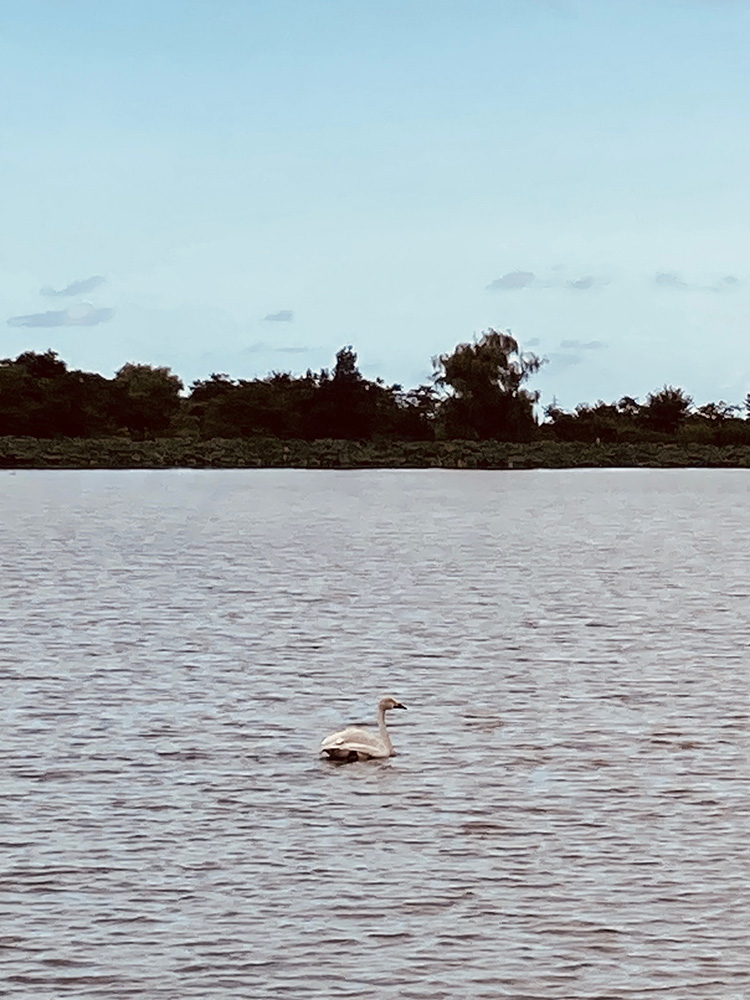 �^���S�V��